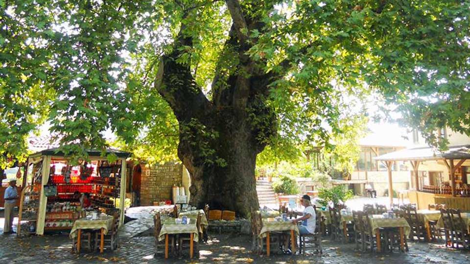 Village Tour